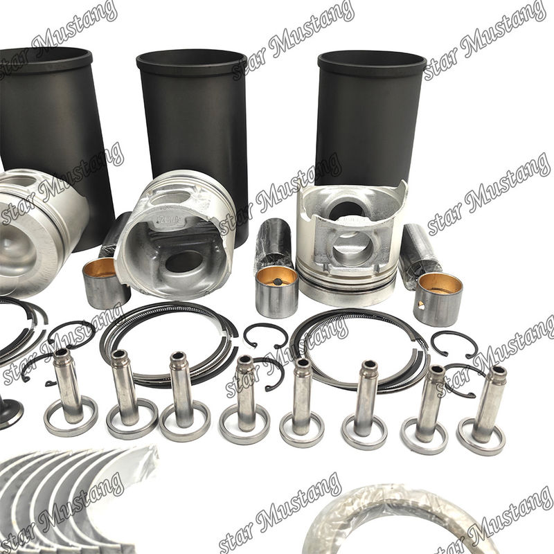 W04DT Überholungs-Wiederaufbaukasten Zylinder Liner Kolben mit Pin Kit Ventil Sitzventil Führung Gaskett Kit für Hino Motor