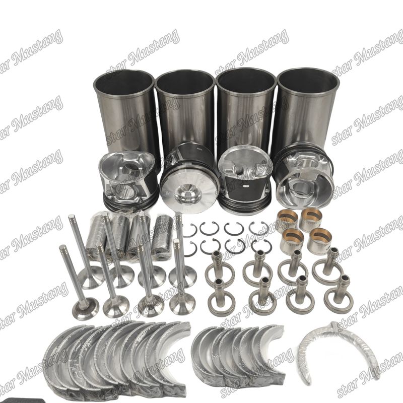 BF4M1011F Reparaturbaukasten Zylinder Liner Kolbenbaukasten Gaskettbaukasten Ventil Sitzleiter Haupt- und Kon-Stablager für Deutz