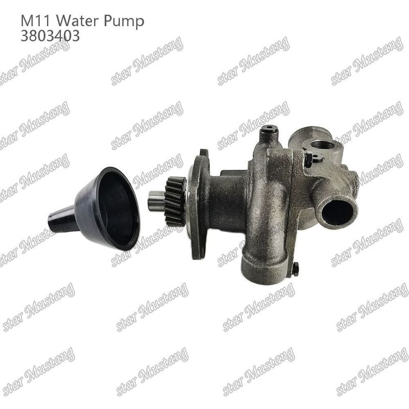 Wasserpumpe M11 4955706 4926553 Kurzschacht für CUMMINS Dieselmotoren Reparaturteile