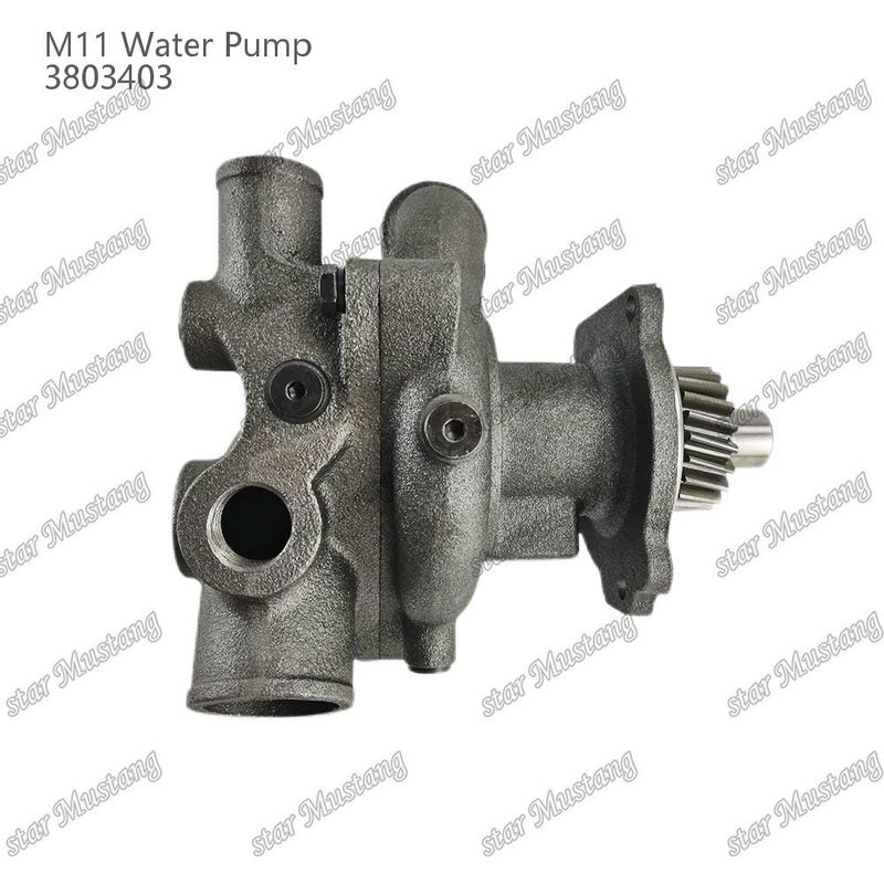Wasserpumpe M11 4955706 4926553 Kurzschacht für CUMMINS Dieselmotoren Reparaturteile