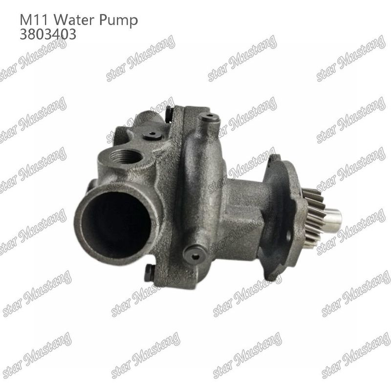 Wasserpumpe M11 4955706 4926553 Kurzschacht für CUMMINS Dieselmotoren Reparaturteile