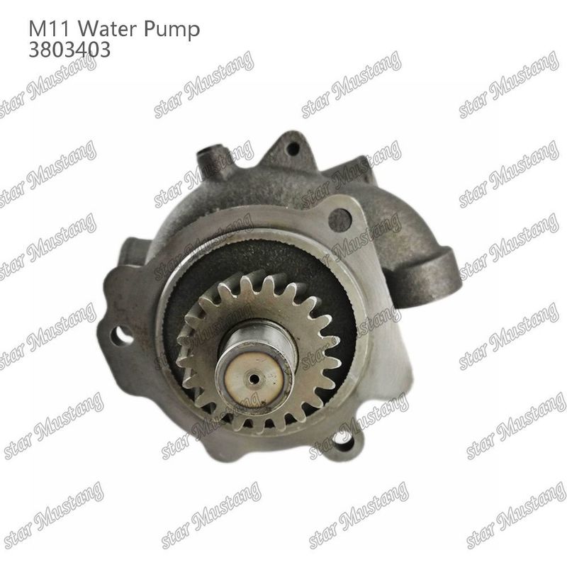 Wasserpumpe M11 4955706 4926553 Kurzschacht für CUMMINS Dieselmotoren Reparaturteile