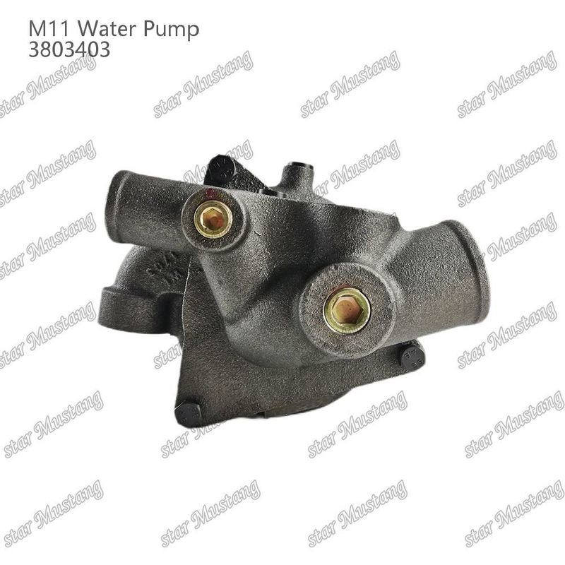 Wasserpumpe M11 4955706 4926553 Kurzschacht für CUMMINS Dieselmotoren Reparaturteile