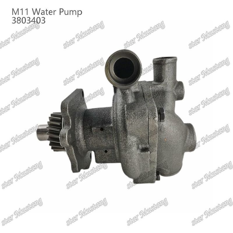 Wasserpumpe M11 4955706 4926553 Kurzschacht für CUMMINS Dieselmotoren Reparaturteile