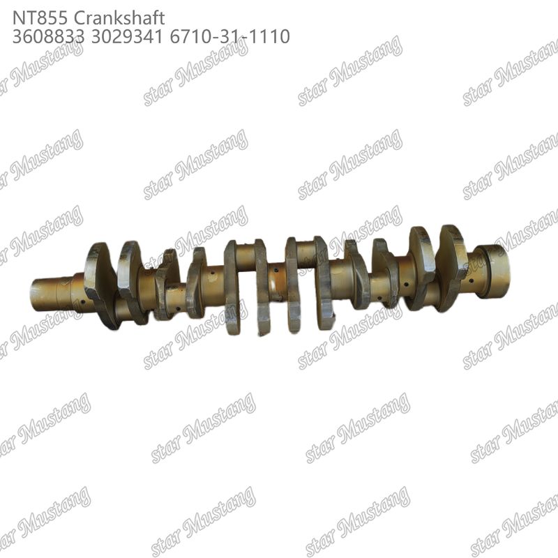 Kurbelwelle NT855 geschmiedetem Stahl 3608833 3029341 6710-31-1110 für Teile von Cummins Dieselmotoren