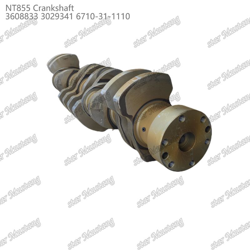 Kurbelwelle NT855 geschmiedetem Stahl 3608833 3029341 6710-31-1110 für Teile von Cummins Dieselmotoren