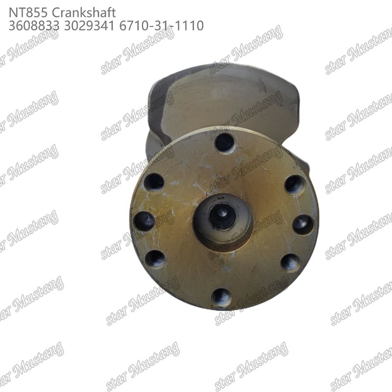 Kurbelwelle NT855 geschmiedetem Stahl 3608833 3029341 6710-31-1110 für Teile von Cummins Dieselmotoren