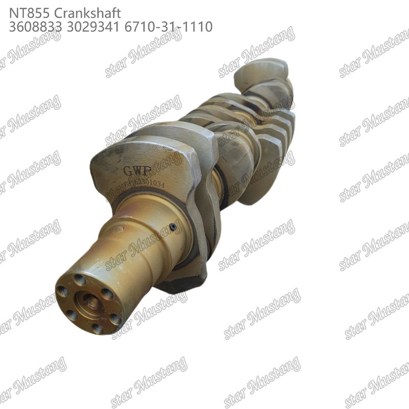 Kurbelwelle NT855 geschmiedetem Stahl 3608833 3029341 6710-31-1110 für Teile von Cummins Dieselmotoren