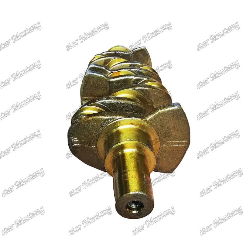 Kurbelwelle 4TNV94 4TNV98 Gusseisen 129902-21000 Für Yanmar Dieselmotoren Reparaturteile