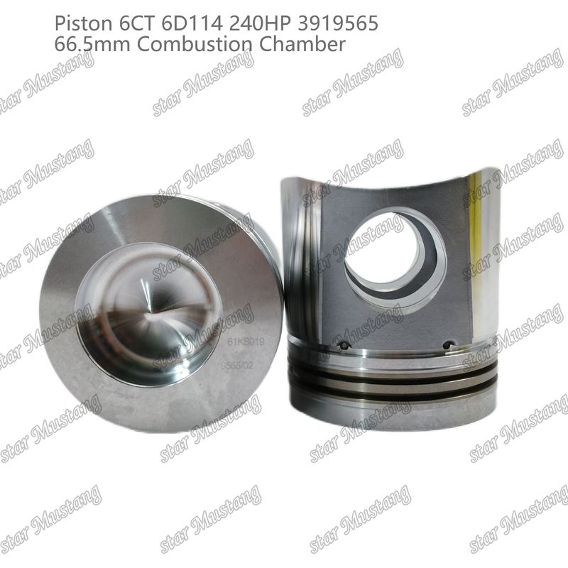 Kolben 6CT 6D114 240HP 3919565 66,5 mm Verbrennungskammer für Reparaturteile von Cummins Dieselmotoren