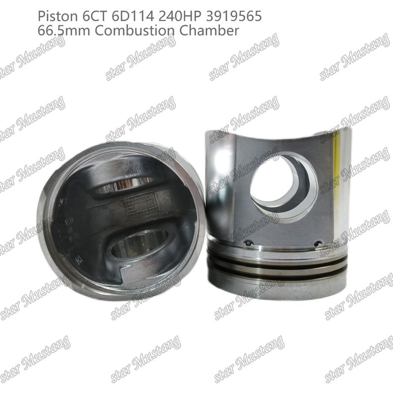 Kolben 6CT 6D114 240HP 3919565 66,5 mm Verbrennungskammer für Reparaturteile von Cummins Dieselmotoren