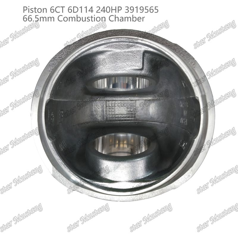 Kolben 6CT 6D114 240HP 3919565 66,5 mm Verbrennungskammer für Reparaturteile von Cummins Dieselmotoren