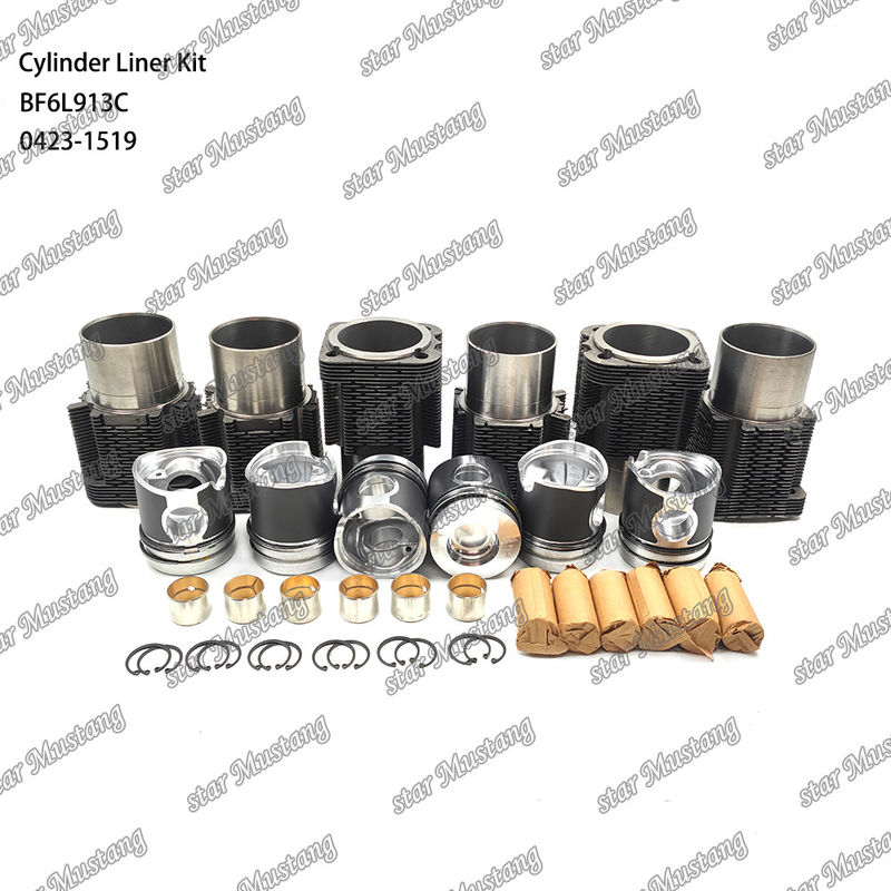 Dieselmotor-Typ Liner-Kit für BF6L913C 0423-1519 in neuem Zustand