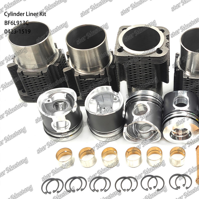 Dieselmotor-Typ Liner-Kit für BF6L913C 0423-1519 in neuem Zustand