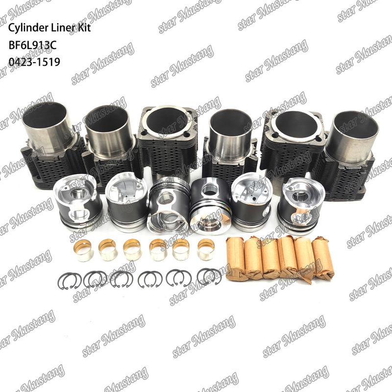 Dieselmotor-Typ Liner-Kit für BF6L913C 0423-1519 in neuem Zustand
