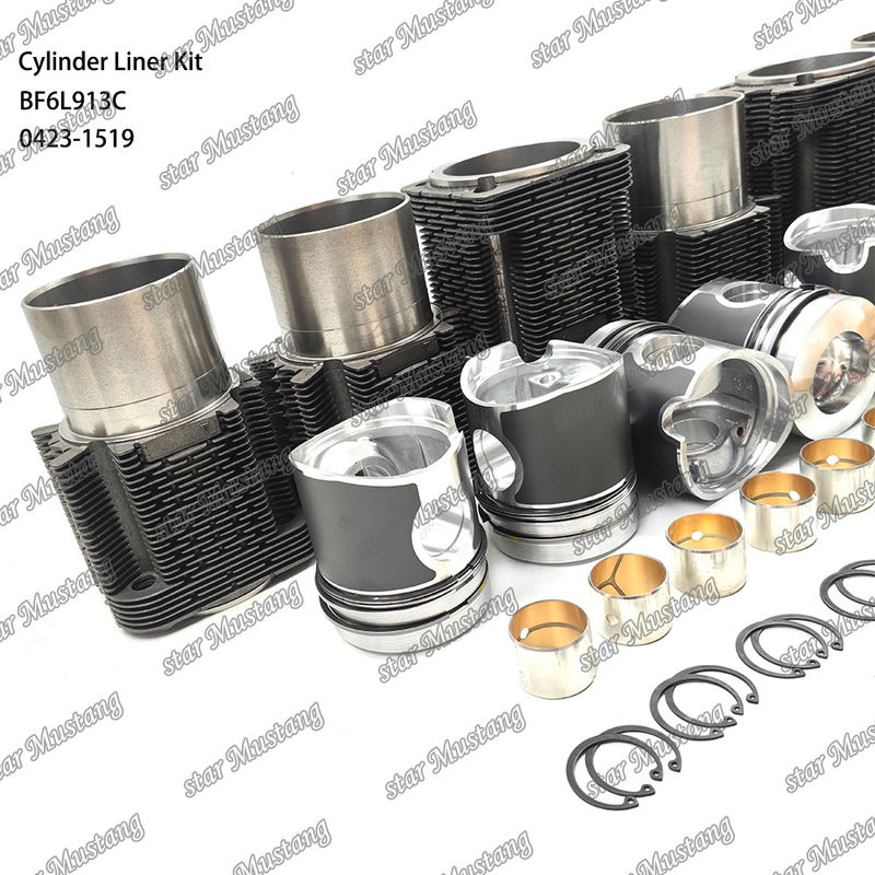 Dieselmotor-Typ Liner-Kit für BF6L913C 0423-1519 in neuem Zustand