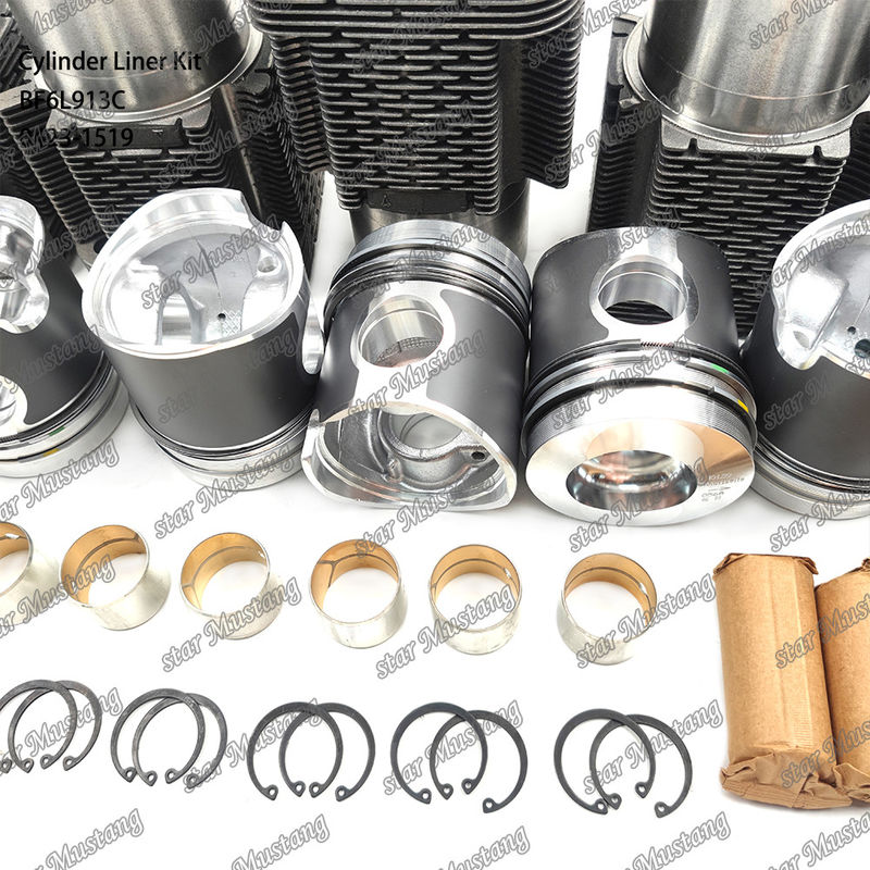 Dieselmotor-Typ Liner-Kit für BF6L913C 0423-1519 in neuem Zustand