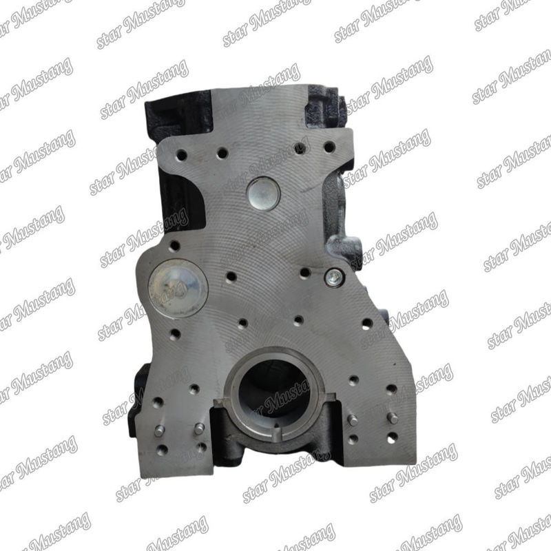 Zylinderblock 4TNE94 Doppelwasserkanal für Bagger für YANMAR Motor Ersatzteile