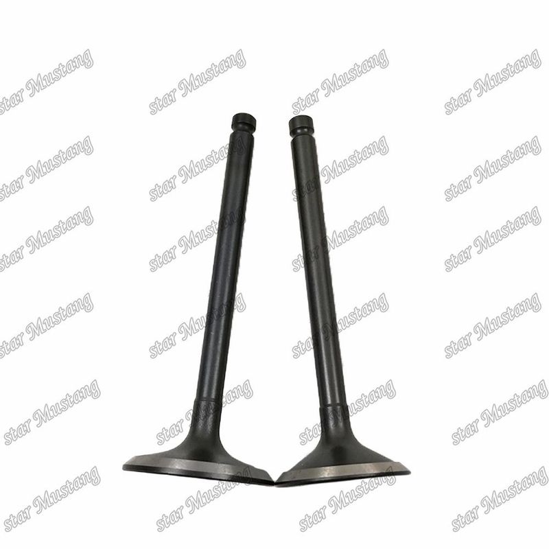 Ventil 3KR1 8941190881 8-94119088-1 5125520462 5-12552046-2 für Ersatzteile für Isuzu-Motoren