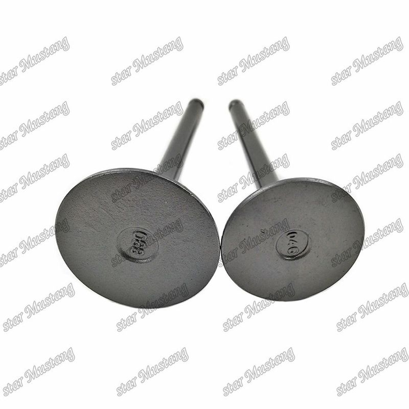 Ventil 3KR1 8941190881 8-94119088-1 5125520462 5-12552046-2 für Ersatzteile für Isuzu-Motoren
