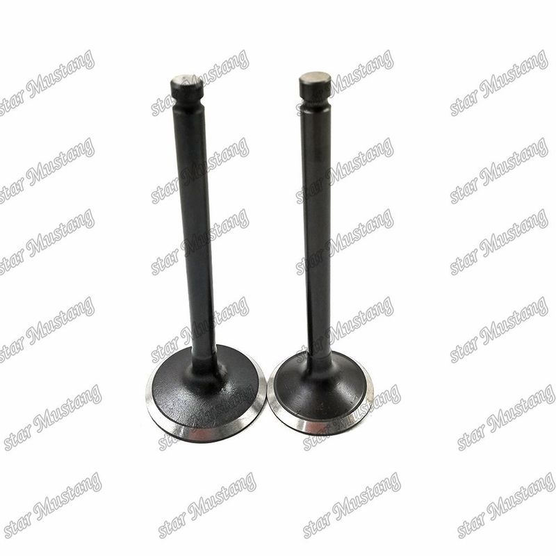 Ventil 3KR1 8941190881 8-94119088-1 5125520462 5-12552046-2 für Ersatzteile für Isuzu-Motoren