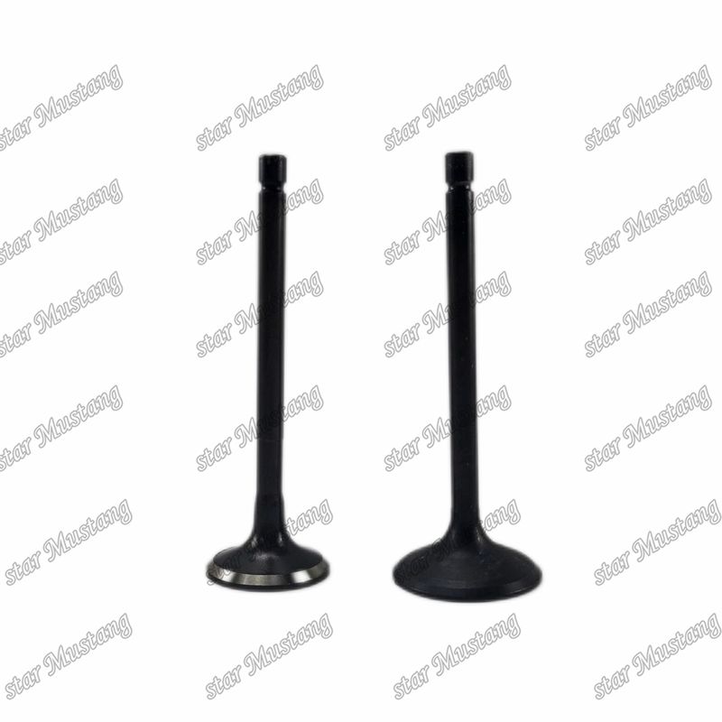 Ventil 4JG2 8-97131729-2 8-97080214-1 geeignet für Ersatzteile für Isuzu-Motoren