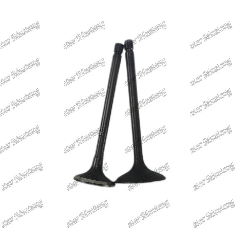 Ventil 4JG2 8-97131729-2 8-97080214-1 geeignet für Ersatzteile für Isuzu-Motoren