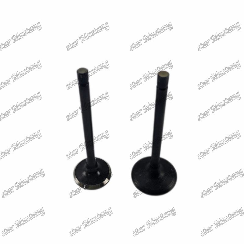 Ventil 4JG2 8-97131729-2 8-97080214-1 geeignet für Ersatzteile für Isuzu-Motoren