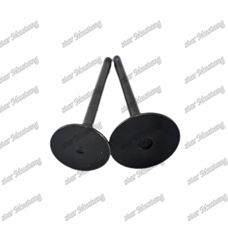 Ventil 4JG2 8-97131729-2 8-97080214-1 geeignet für Ersatzteile für Isuzu-Motoren
