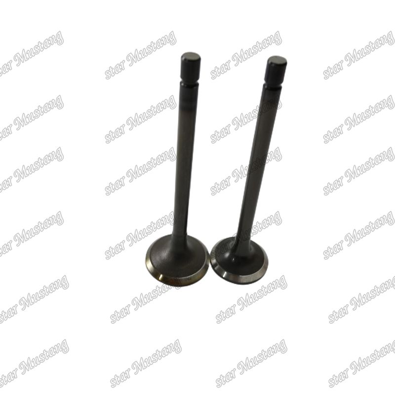 Ventil 4JJ1 8-97309-675-1 8-97309-677-1 für Ersatzteile für Isuzu-Motoren