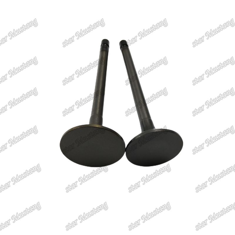 Ventil 4JJ1 8-97309-675-1 8-97309-677-1 für Ersatzteile für Isuzu-Motoren