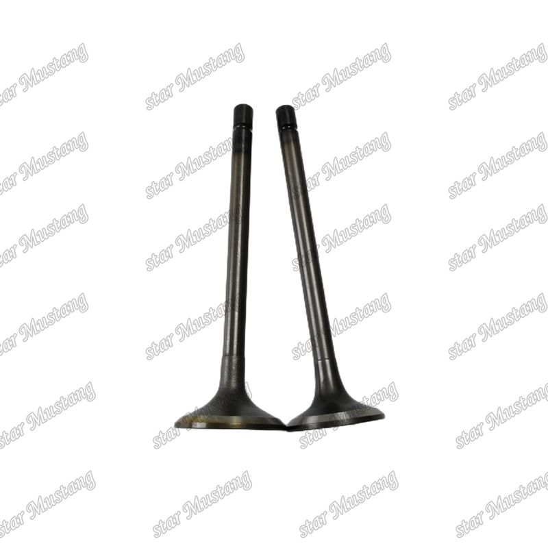 Ventil 4JJ1 8-97309-675-1 8-97309-677-1 für Ersatzteile für Isuzu-Motoren