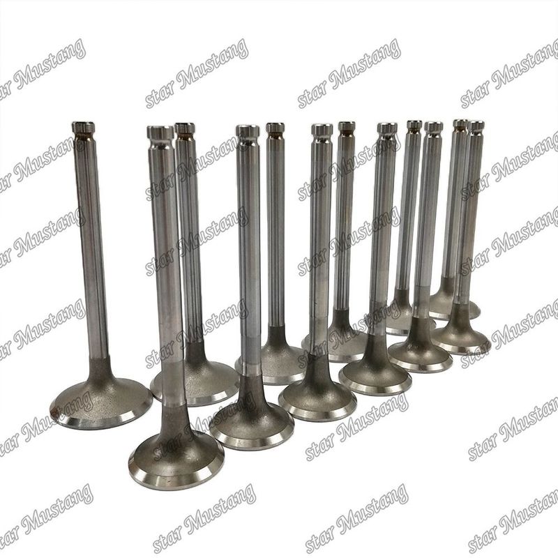 ENGINE VALVE 6BD1 DB58 IN 65.01735-2558 EX 65.01734-267 geeignet für Ersatzteile für Isuzu-Motoren