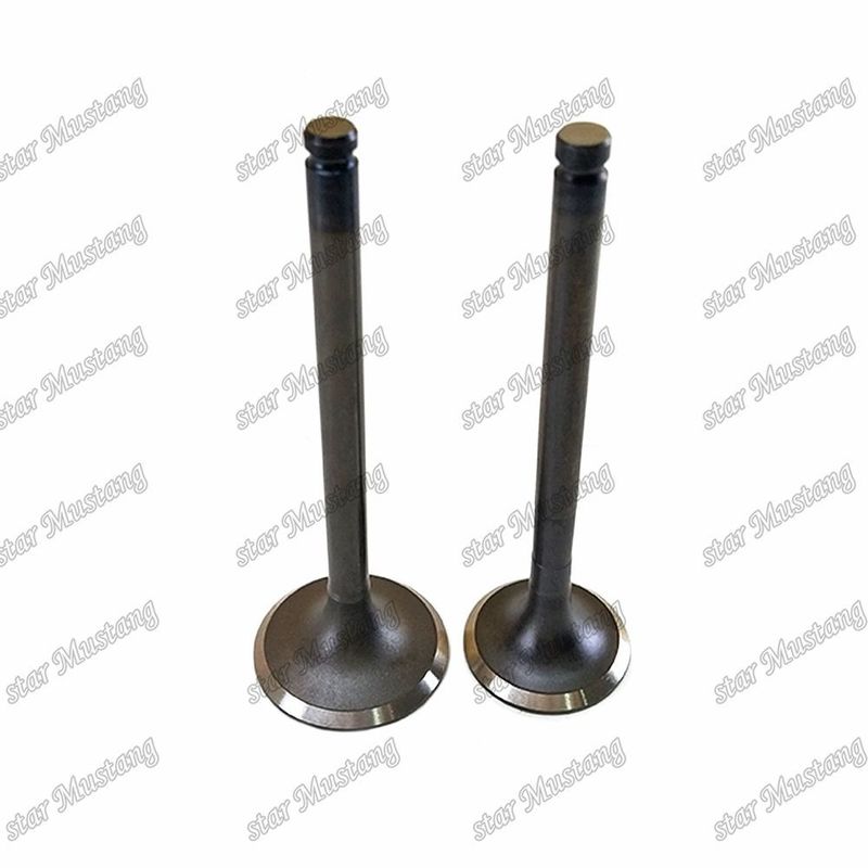 Ventil C240 IN 5-12551-028-0 EX 5-12552-034-0 geeignet für Ersatzteile für Isuzu-Motoren