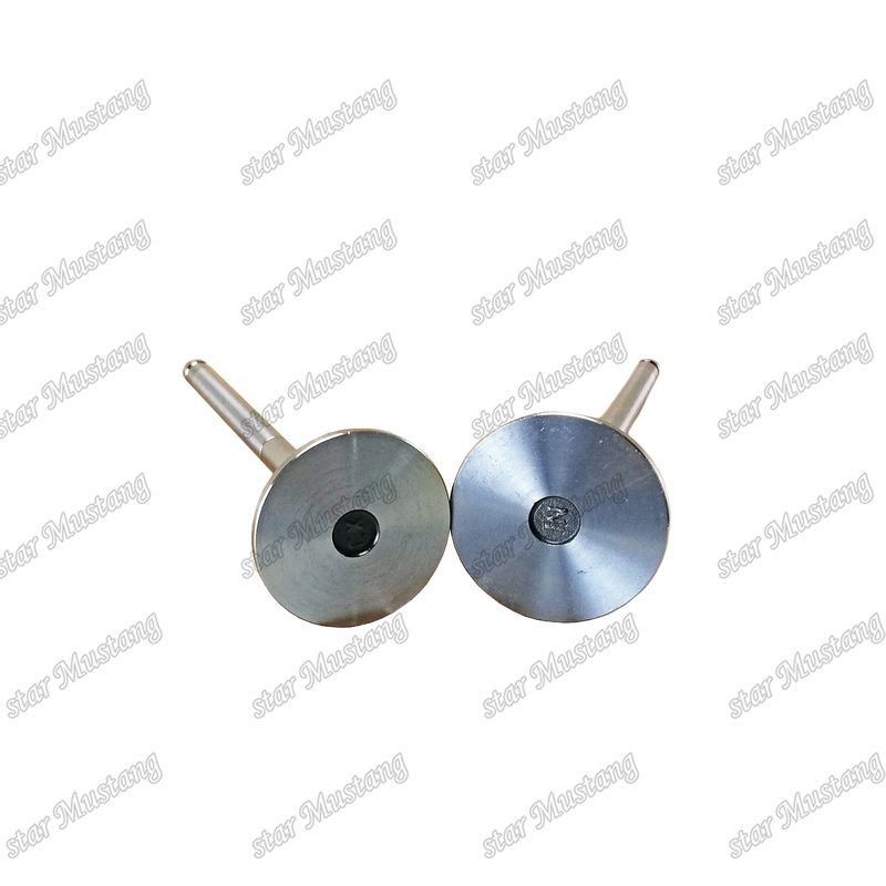 Dieselventil DE08 IN 65.01611-2031 EX 65.01611-2042 geeignet für Ersatzteile von Doosan-Motoren
