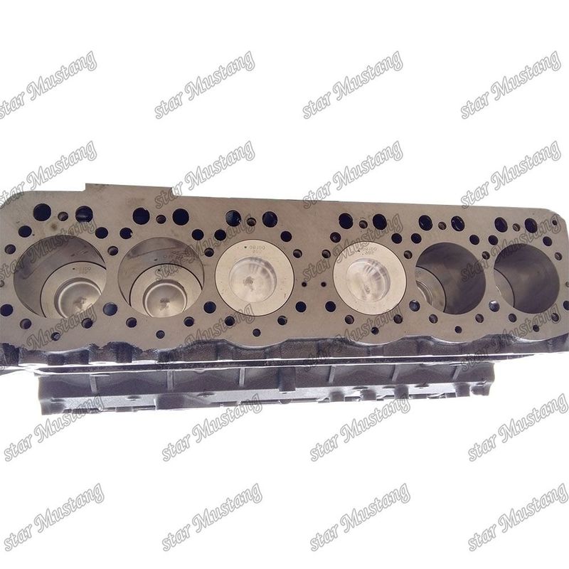 Integralstruktur Kurzblock S6K 5I7613 34307-01010 Dieselmotorteil für Leistung und 6 Monate