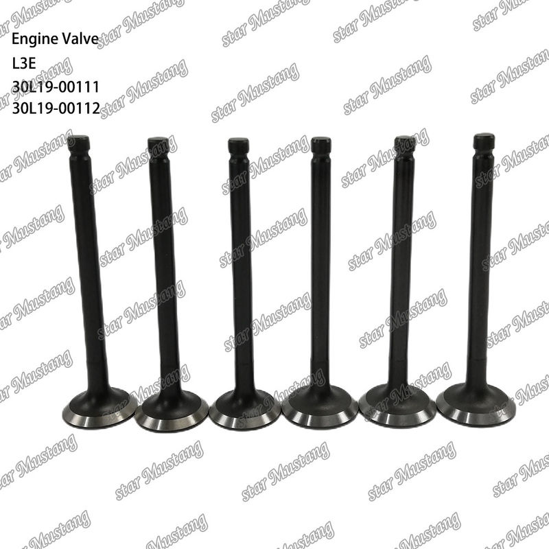 L3E 30L19-00111 30L19-00112 Dieselmotorventil geeignet für Mitsubishi Ersatzteile