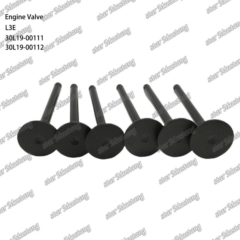 L3E 30L19-00111 30L19-00112 Dieselmotorventil geeignet für Mitsubishi Ersatzteile