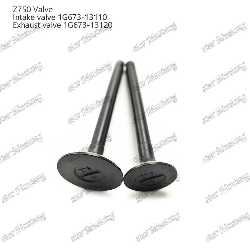 Integral-Struktur-Ventil Z750 1G673-13110 1G673-13120 Dieselmotor-Teil Originalbestand mit Online-Support Nach
