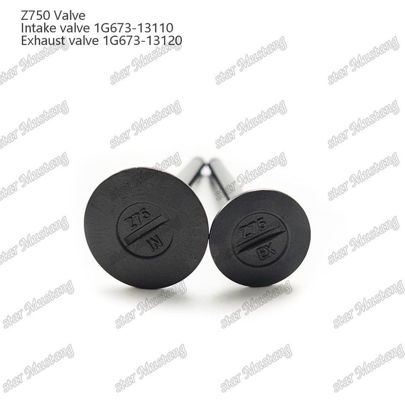 Integral-Struktur-Ventil Z750 1G673-13110 1G673-13120 Dieselmotor-Teil Originalbestand mit Online-Support Nach