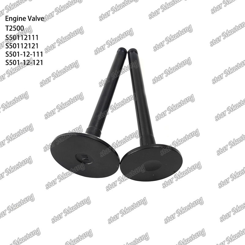 Integral-Struktur-Ventil T2500 S50112111 S50112121 S501-12-111 S501-12-121 Dieselmotor-Teil Originalbestand mit Online-Support Nach