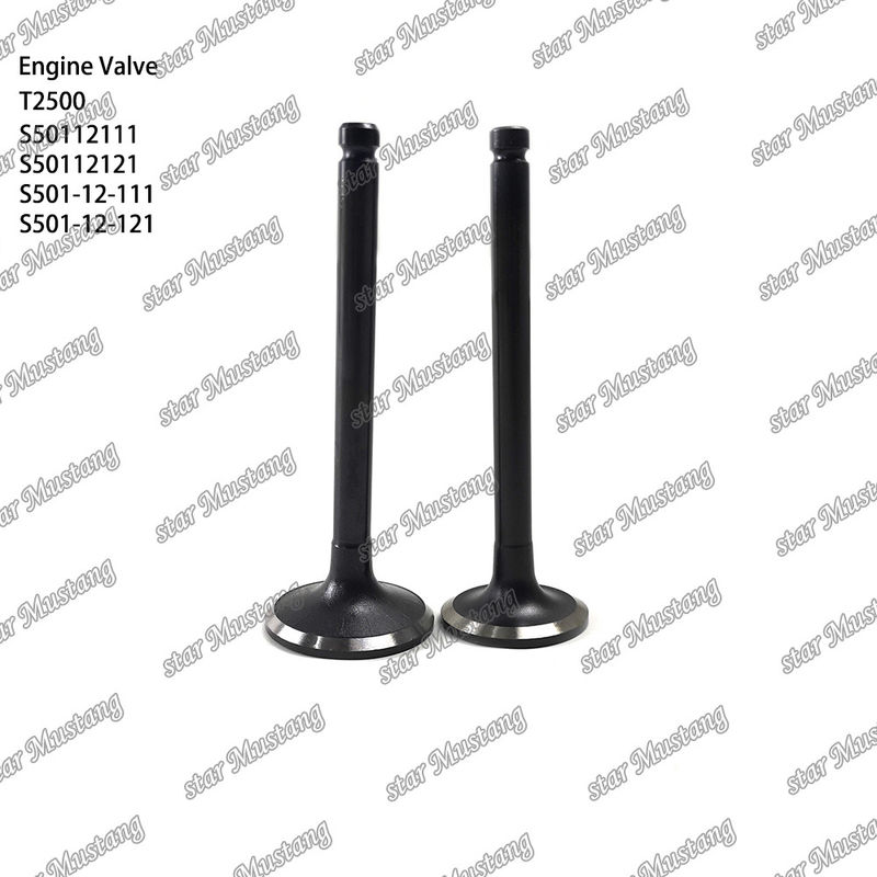Integral-Struktur-Ventil T2500 S50112111 S50112121 S501-12-111 S501-12-121 Dieselmotor-Teil Originalbestand mit Online-Support Nach
