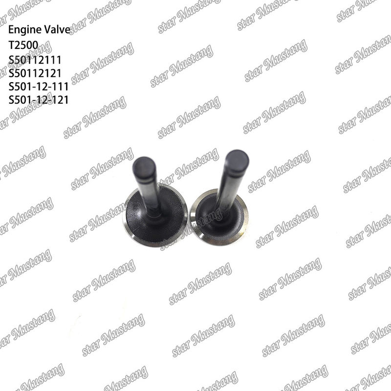 Integral-Struktur-Ventil T2500 S50112111 S50112121 S501-12-111 S501-12-121 Dieselmotor-Teil Originalbestand mit Online-Support Nach