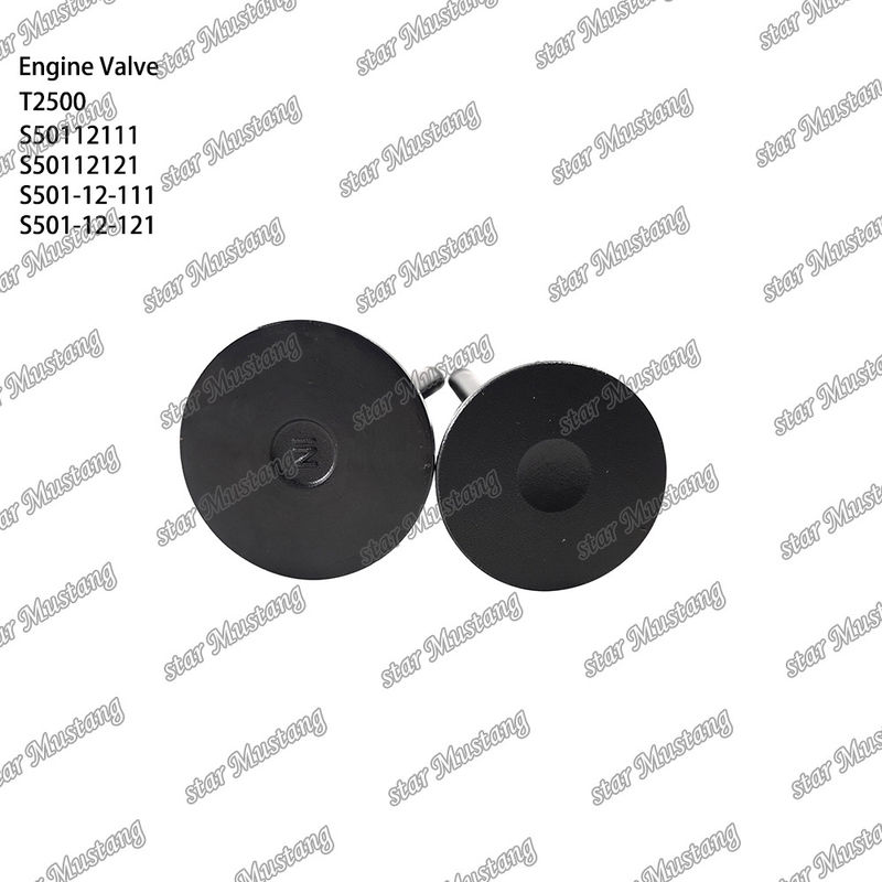 Integral-Struktur-Ventil T2500 S50112111 S50112121 S501-12-111 S501-12-121 Dieselmotor-Teil Originalbestand mit Online-Support Nach
