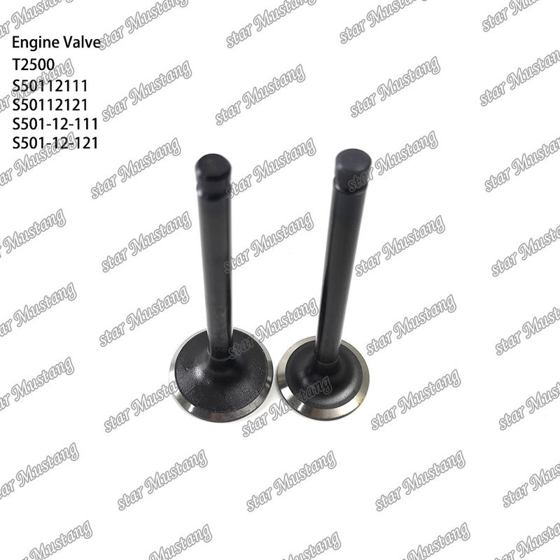 Integral-Struktur-Ventil T2500 S50112111 S50112121 S501-12-111 S501-12-121 Dieselmotor-Teil Originalbestand mit Online-Support Nach