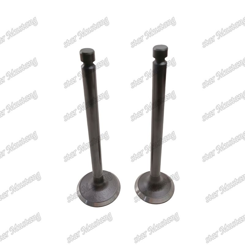 Integral-Struktur-Ventil 6D24 ME051063 ME051064 Dieselmotor-Teil Originalbestand mit Online-Support nach