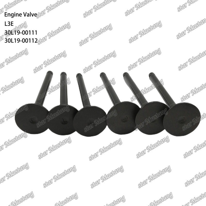 L3E 30L19-00111 30L19-00112 Dieselmotorteil Originalbestand mit Online-Support nach