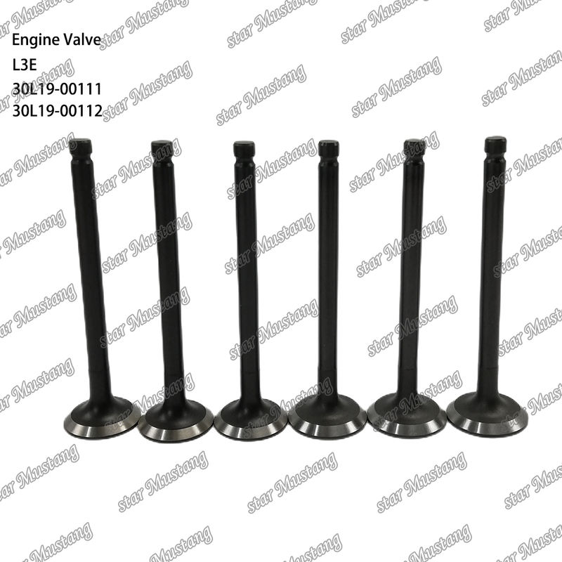 L3E 30L19-00111 30L19-00112 Dieselmotorteil Originalbestand mit Online-Support nach