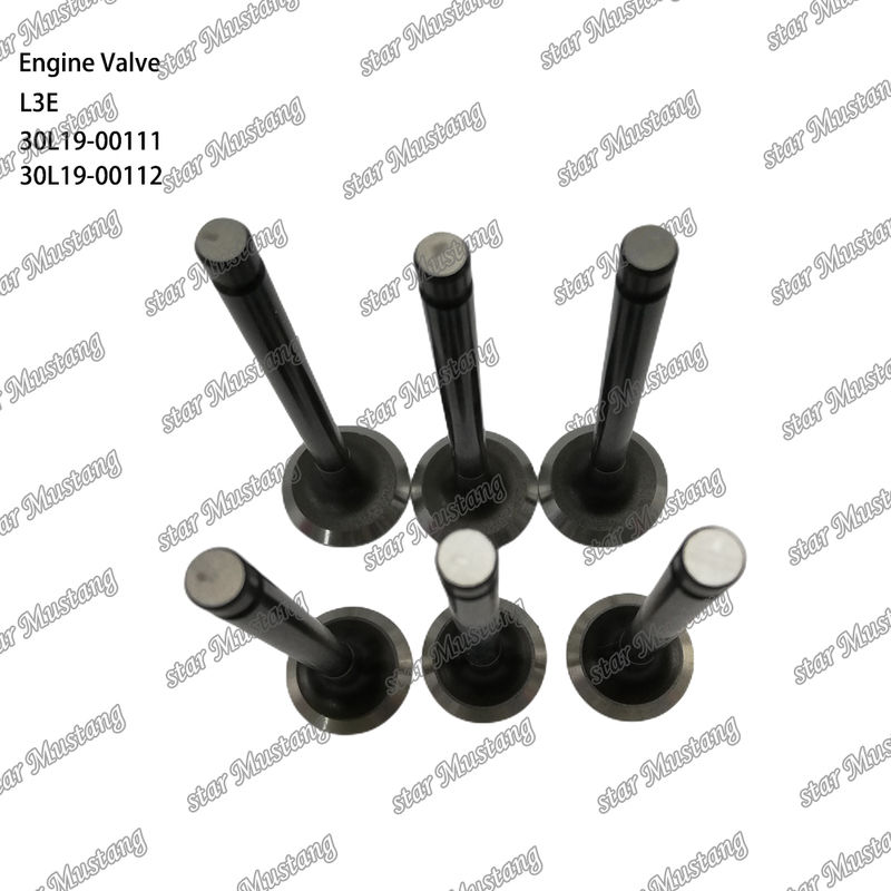 L3E 30L19-00111 30L19-00112 Dieselmotorteil Originalbestand mit Online-Support nach