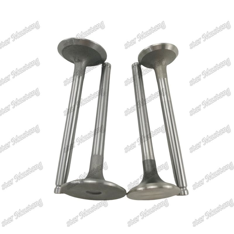 Integral-Struktur-Ventil 1004 3142L072 3142A051 Dieselmotor-Teil Original-Bestand mit Online-Support nach